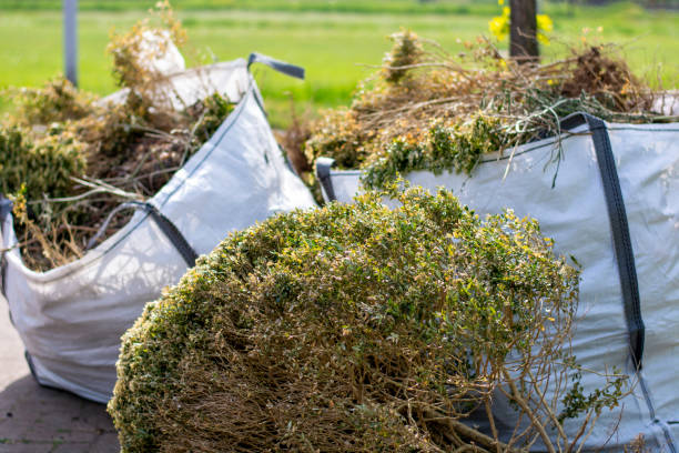 Best Demolition Debris Removal  in Mounds View, MN